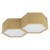 Eglo 98861 - Plafonsko svetlo MIRLAS 2xE27/9W/230V