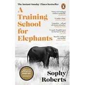 Training School for Elephants
