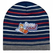 Stamion kapa Paw Patrol , decaci
