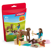 Schleich: Piknik z Lizo in njenim kužkom igralni set (42746)