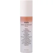 Jericho Rose Spray siero illuminante - 100 ml