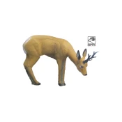 3D SRT ROEBUCK GRAZING – SRNJAK