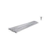 ŽBICA FORCE STAINLESS SILVER 2MMx282MM