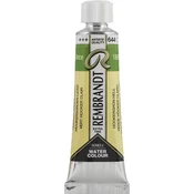 Rembrandt Professional Watercolour Paint 10 ml Hooker Green Light