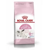 Royal Canin FHN BABYCAT 4kg