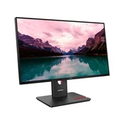 LENOVO ThinkVision monitor T24-40, 64A4MAT2EU, IPS, 24inch