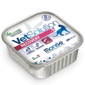 MONGE VET CAT RECOVERY 100g