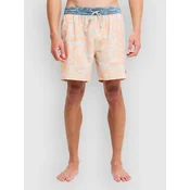 Billabong Ty Williams kopalne hlače multi