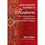 Anticapitalist Economy In Rojava