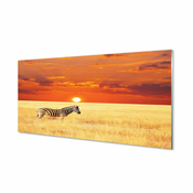 tulup.si Stenska plošča za kuhinjo Zebra polje sunset 120x60 cm