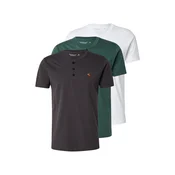 Abercrombie & Fitch Majica čokolada/zelena/bela