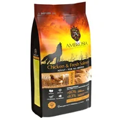 Ambrosia Adult All Breeds Chicken & Fresh Salmon 12 kg