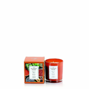 Ashleigh & Burwood ORIENTALNA ZAČIMBA - dišeča sveča v steklu THE SCENTENT HOME, 42 ur