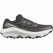 Salomon Ultra Flow 2