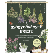 A gyógynövények ereje