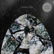 Friendly Fires - Friendly Fires (Limited Edition) (Anniversary Edition) (Silver Coloured) (LP)