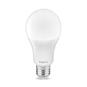 Braytron LED sijalica BRY-ADVANCE-16W-E27-A70-4000K