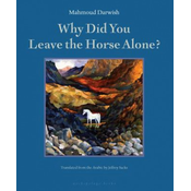 Why Did You Leave The Horse Alone