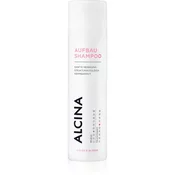Alcina ( Color & Blonde Shampoo) (Objem 250 ml)