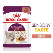 Royal Canin Sensory Taste - mokra hrana s umakom za odrasle macke 12 x 85 g