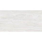 Pantheon Evolution Album Veincut Mate 60x120