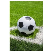 Darymex Odeja iz flisa 100x150 Nogomet, (21888215)