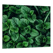 shumee STEKLENA PLOŠČA ZA KUHINJO 65x60 Melisa