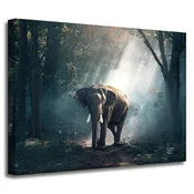 shumee Platno s sliko Živali Slon 40x30 cm
