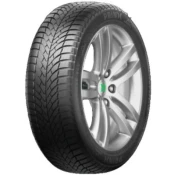 Prinx Winter Excelia ( 205/55 R16 94V XL )