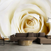 Foto tapeta - Pearl maze 150x105