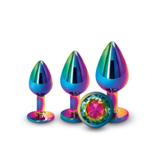 Rear Assets Trainer Kit Multicolor - set analnih plugova