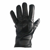 ASHWOOD Moške rokavice 821 Touch - Black, S