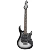Peavey Raptor Custom Silverburst elektricna gitara