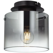 Brilliant - Stropno svetilo BETH 1xE27/60W/230V črno/dimljeno
