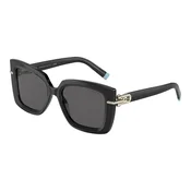 Tiffany & Co. TF4199 8001S4