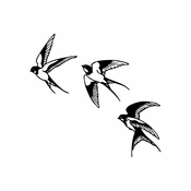 WALLXPERT Zidna dekoracija Swallows 294