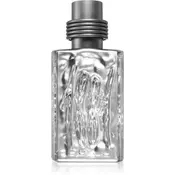 Cerruti 1881 Silver Eau De Toilette 50 ml (man)
