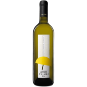 valori Vino Pecorino DOC 2021 Luigi 0,75 l
