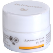 Dr. Hauschka Eye And Lip Care hranjivi balzam za usne (Lip Balm) 4,5 ml