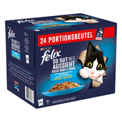 Felix Fantastic - Ribji izbor, 24 x 85 g