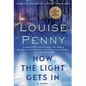 HOW THE LIGHT GETS IN