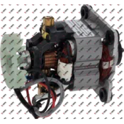 Kompleten motor (samo 230 V)