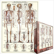 Eurographics - Puzzle Skeleton 1 - 1 000 kosov