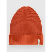 Passenger Compass Recycled Beanie rust
