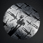Muse - Absolution, 20th Anniversary Deluxe (2 CD + 3 Vinyl)