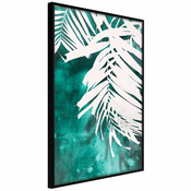 Poster - White Palm on Teal Background 30x45