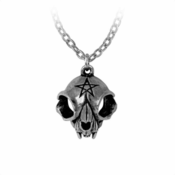 Verižica ALCHEMY GOTHIC - Forever My Friend - P938