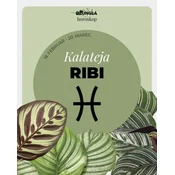 Horoskop rastlina: Ribi (Kalateja)