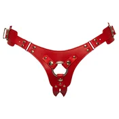 Erotic Collection Pas On Bad Kitty Harness