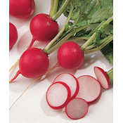 REDKVICA SAXA 2 BIG PACK 20gr